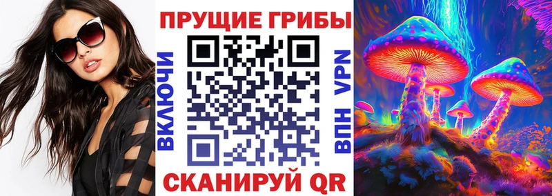 Галлюциногенные грибы ЛСД  где можно купить   Тавда 